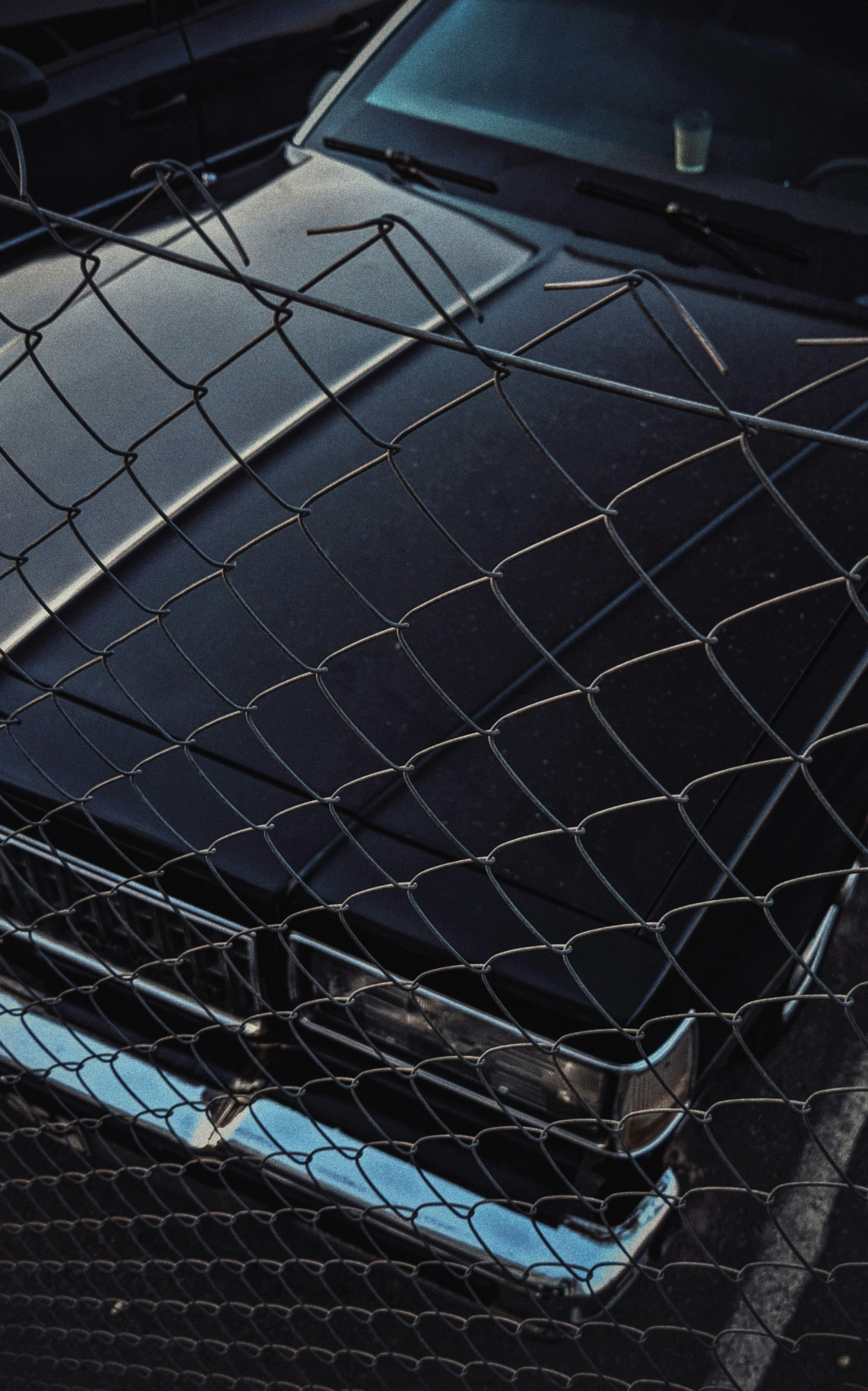 black and white net on brown wooden surface